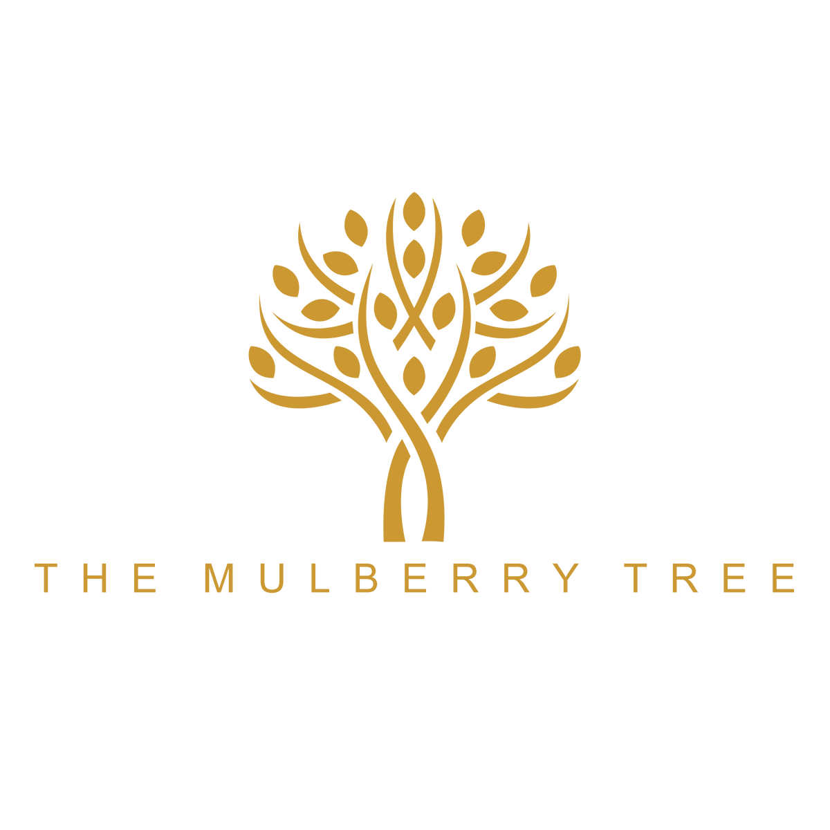 The Mulberry Tree - Shop for Handwoven Designer Assam Silk Sarees