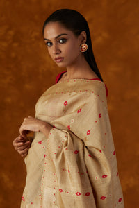 Muga Silk Saree With Woven Border Design